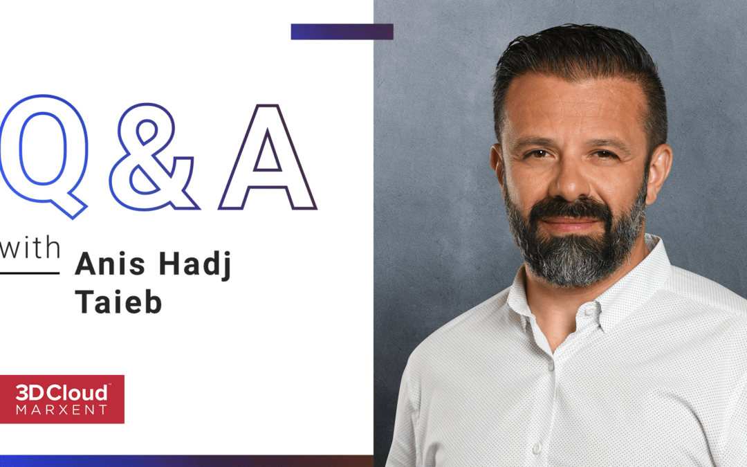 Employee Q&A Interview with Anis Hadj-Taieb